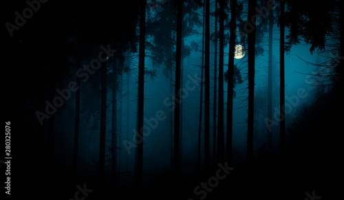 Fototapeta Naklejka Na Ścianę i Meble -  Full moon through the spruce trees in magic mystery night foggy forest. Halloween backdrop.