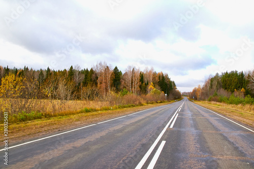Asphalt road with white markings going away and yellow field and forest at the edges