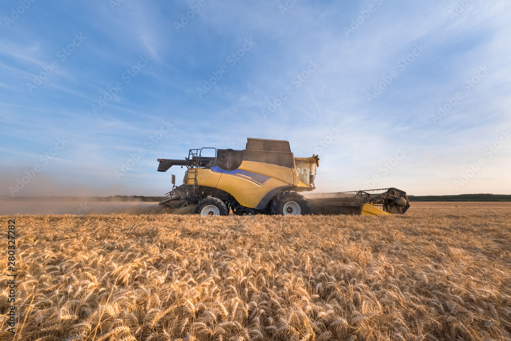 Moisson de blé dans le Vexin français en juillet 2019 /Wheat harvest in Vexin July 2019 Moisson de blé dans le Vexin français en juillet 2019 /Wheat harvest in Vexin July 2019
