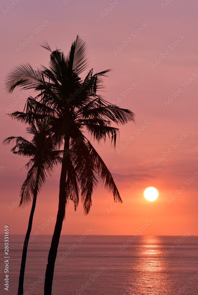 Silhouette of palm trees at sunset, Senggigi Beach, Lombok, Indonesia