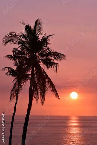 Silhouette of palm trees at sunset, Senggigi Beach, Lombok, Indonesia © akturer