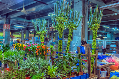 Photography Flower market name Pak Klong Talad There are many beautiful and cheap flowers