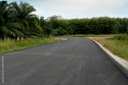 Curved roads are made from new smooth asphalt on a path full of natural green trees.