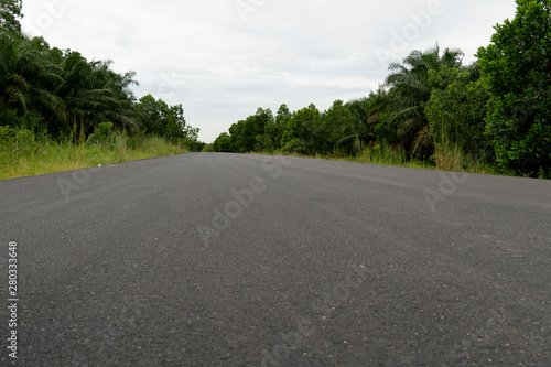 Direct road made from new smooth asphalt on a path full of nature, green trees
