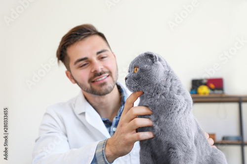 Veterinarian with cute cat ...