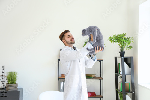 Veterinarian with cute cat ...