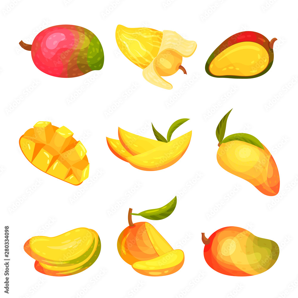 Set of images of mango. Vector illustration on white background. Set of images of mango. Vector illustration on white background.