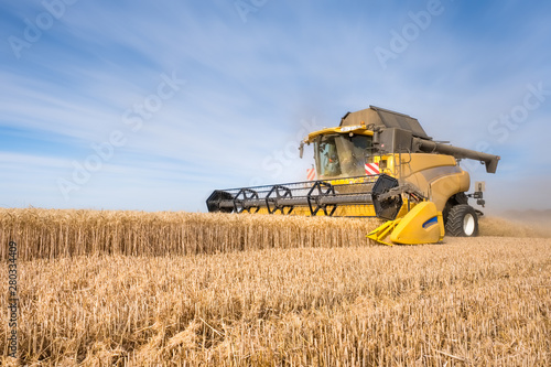 Leinwand Poster Moisson de blé dans le Vexin français en juillet 2019 /Wheat harvest in Vexin  J