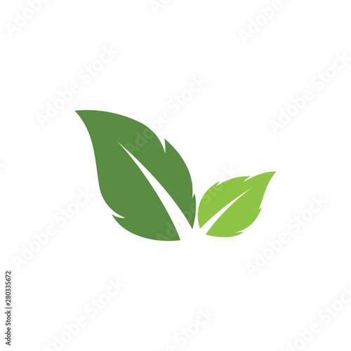 Logos of green Tree leaf ecology nature element