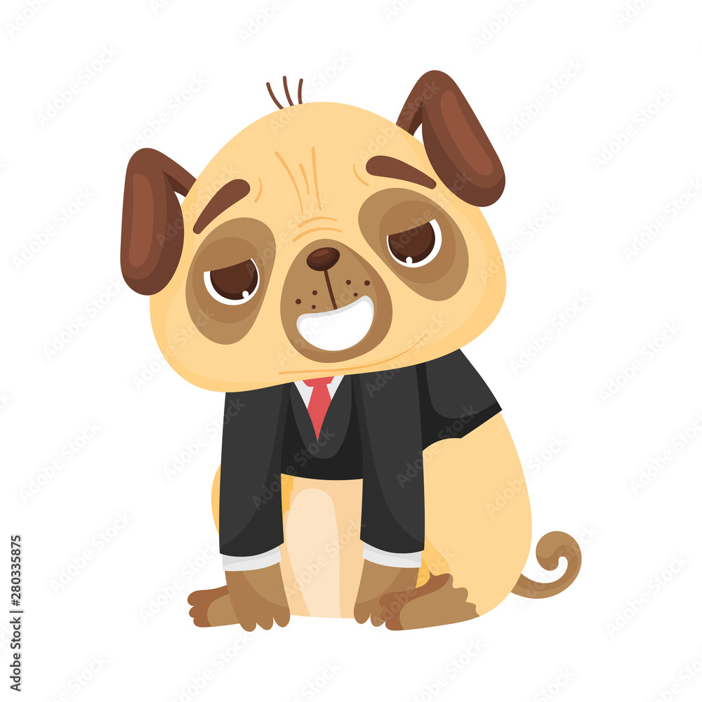 Naklejka premium Cute pug in a classic jacket. Vector illustration on white background.