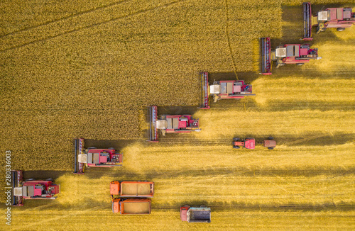 Harvesters and other agricultural machinery lined up in a diagonal for harvesting wheat top view from the quadcopter