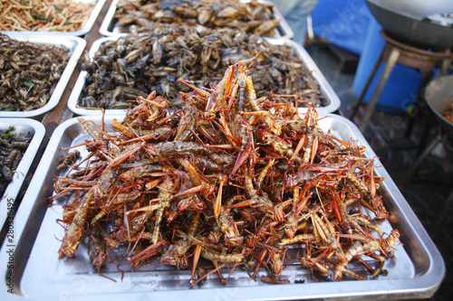 Thai Food. Fried Insect - Tak