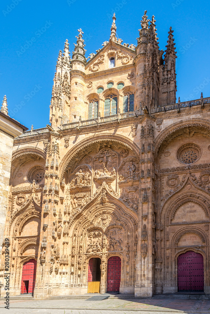 View at the Side Portal of New Cathedral in Salamanca - Spain