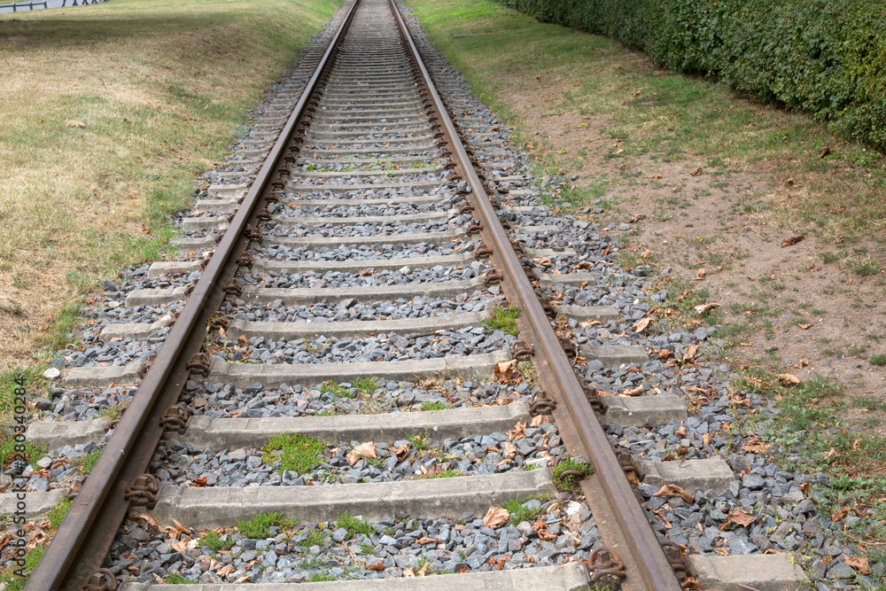 Railway Track in Green Surroundings, Frankfurt Railway Track in Green Surroundings, Frankfurt