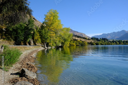 Glendu Bay  Lake Wanaka  Otago  New Zealand