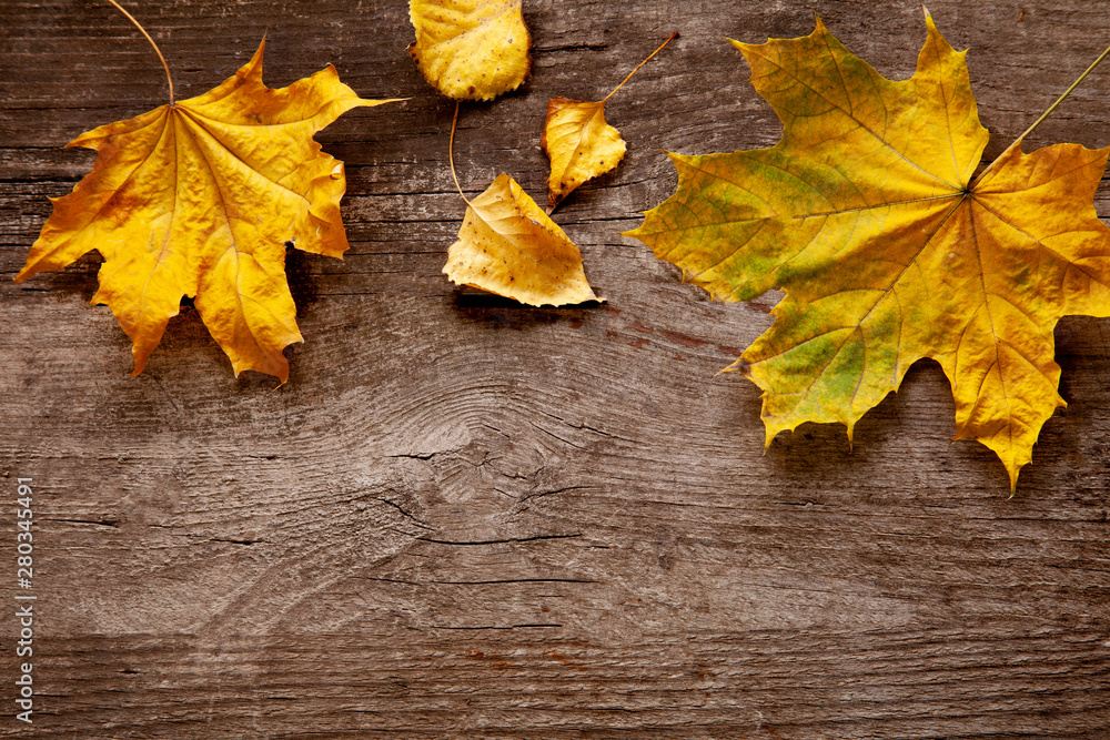autumn leaf background with plaсe words and inscriptions, copy space (top view)