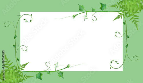 frame borders and creative layouts are made from twisted tropical leaves, isolated on white background, concept back to nature, save earth, including the cliping path 