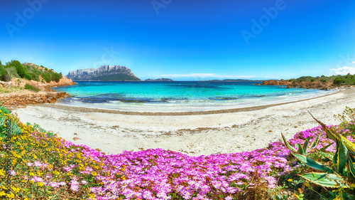 Fototapeta Naklejka Na Ścianę i Meble -  Fantastic azure water with rocks and lots of flowers at Doctors beach (Spiaggia del Dottore) near Porto Istana.