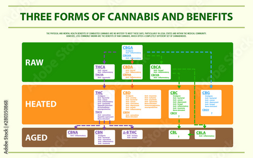 Three Forms of Cannabis and Benefits horizontal infographic illustration about cannabis as herbal alternative medicine and chemical therapy, healthcare and medical science vector.