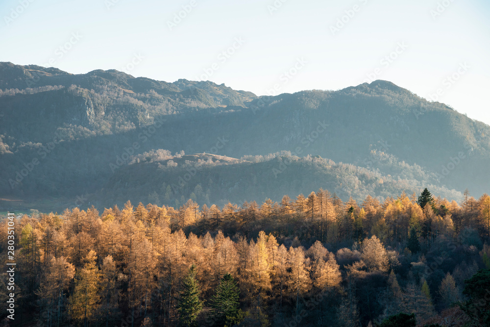 Obraz premium Beautiful Autumn Fall landscape image of the view from Catbells in the Lake District with vibrant Fall colors being hit by the late afternoon sun