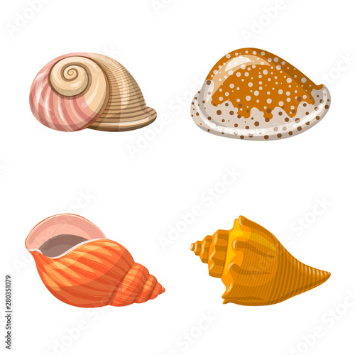 Vector design of seashell and mollusk sign. Collection of seashell and seafood stock symbol for web.