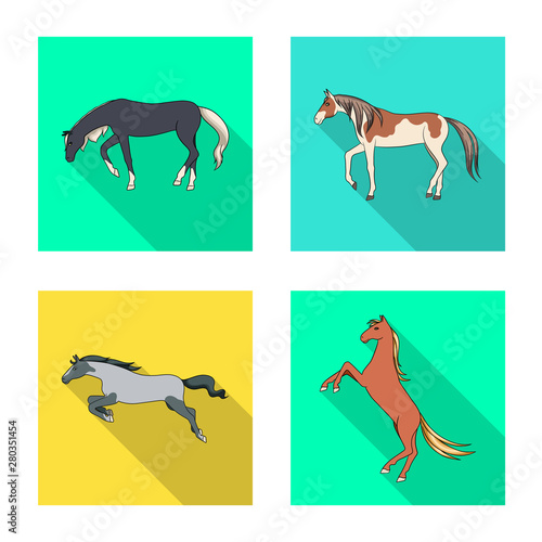 Isolated object of breed and equestrian logo. Collection of breed and mare vector icon for stock.