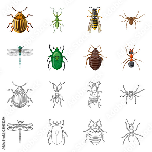 Vector design of insect and fly symbol. Set of insect and element stock vector illustration. © Svitlana