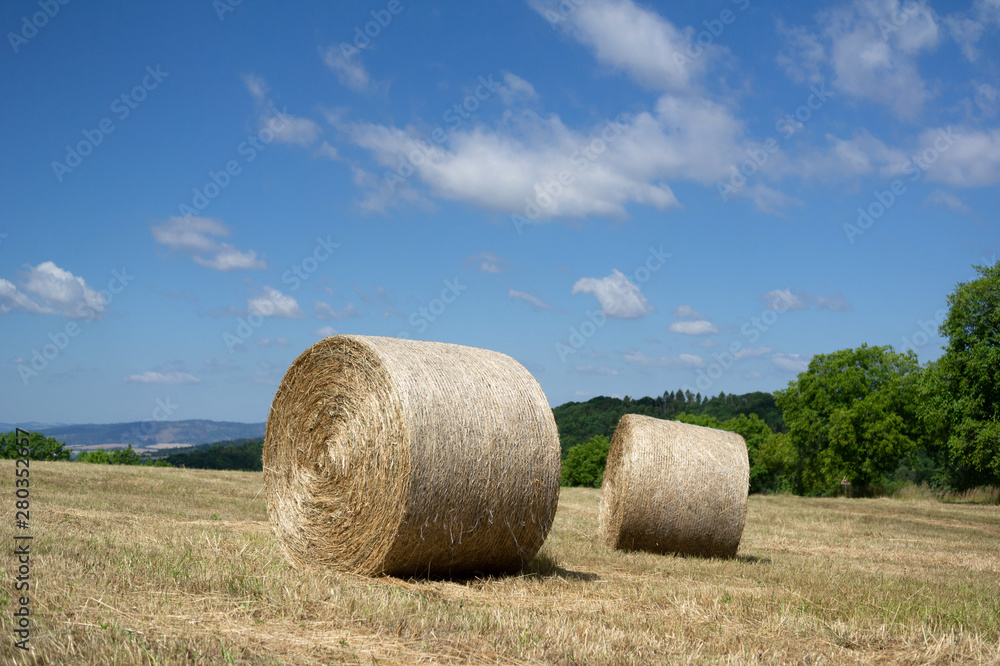 Bale of dry hay on field and meadow. Rural agriculture and harvest in summer and summertime. Low depth of field