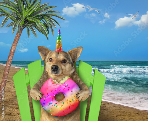 The dog unicorn with a big donut is sitting under the palm tree on a wooden deck chair on the beach of the sea.