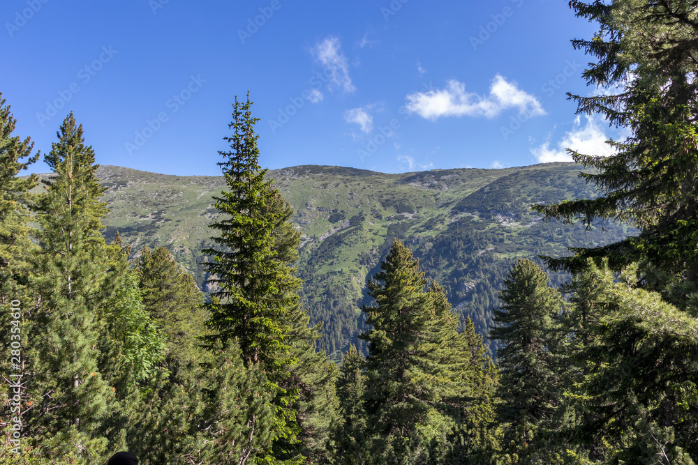 Trail for The Stinky from area of Tiha Rila, Rila mountain, Bulgaria Trail for The Stinky from area of Tiha Rila, Rila mountain, Bulgaria