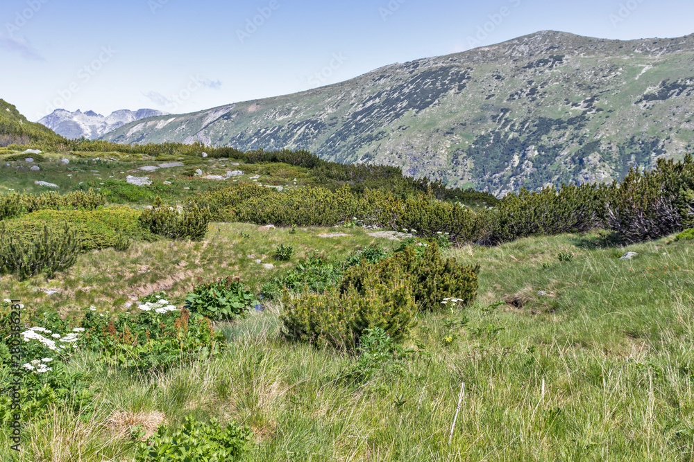 Trail for The Stinky from area of Tiha Rila, Rila mountain, Bulgaria Trail for The Stinky from area of Tiha Rila, Rila mountain, Bulgaria