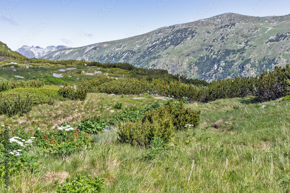 Trail for The Stinky from area of Tiha Rila, Rila mountain, Bulgaria