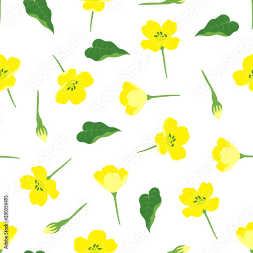 pattern with flowers of rape