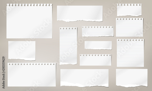 Set of torn white note, notebook lined and blank paper pieces stuck on light brown background. Vector illustration photo