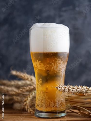 A glass of beer against a dark wall