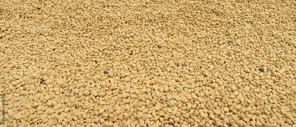Close up of coffee beans for background Close up of coffee beans for background