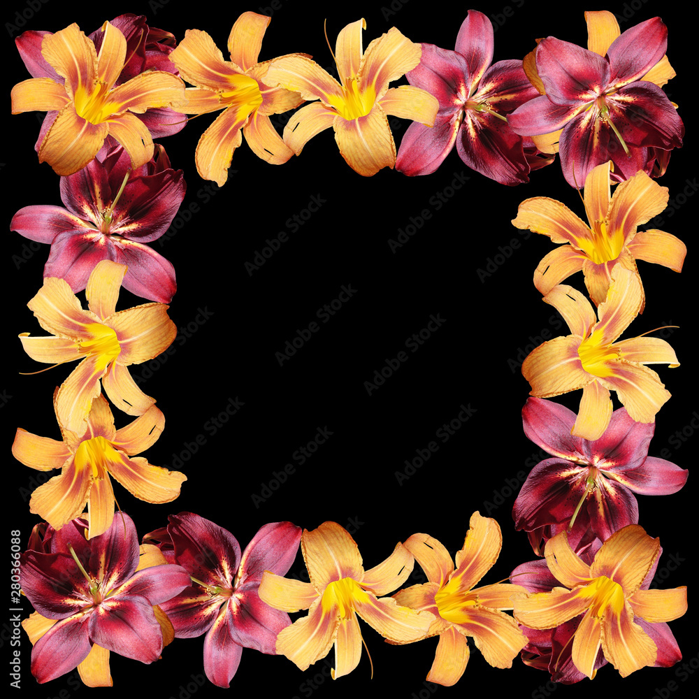 Beautiful floral pattern of orange and burgundy lilies. Isolated Beautiful floral pattern of orange and burgundy lilies. Isolated