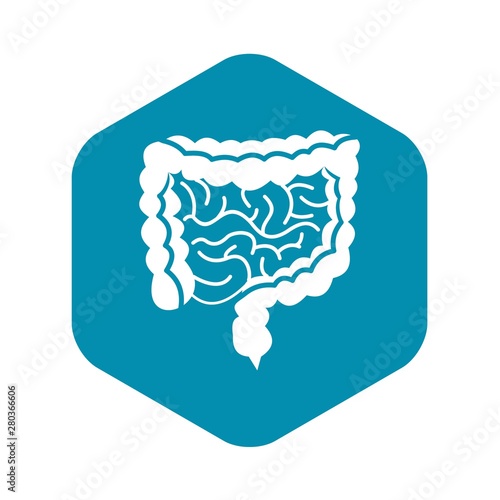 Intestines icon. Simple illustration of intestines vector icon for web