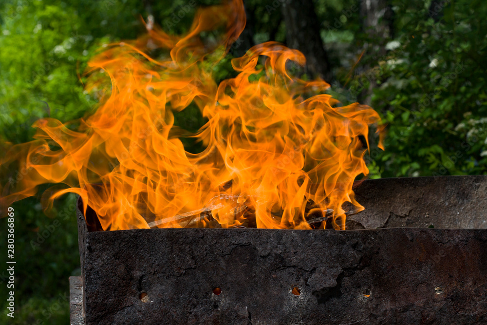 The fire in the fire on the background of nature. The fire in the fire on the background of nature.
