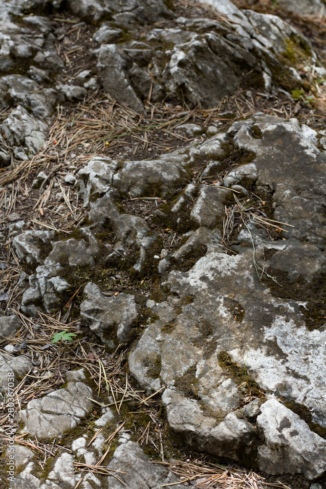 The rocky shore of the Krasnoyarsk reservoir. The Krasnoyarsk Sea. Rocky coast with trees. Cave... The rocky shore of the Krasnoyarsk reservoir. The Krasnoyarsk Sea. Rocky coast with trees. Cave...