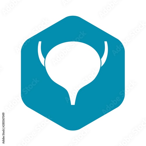 Bladder icon. Simple illustration of bladder vector icon for web