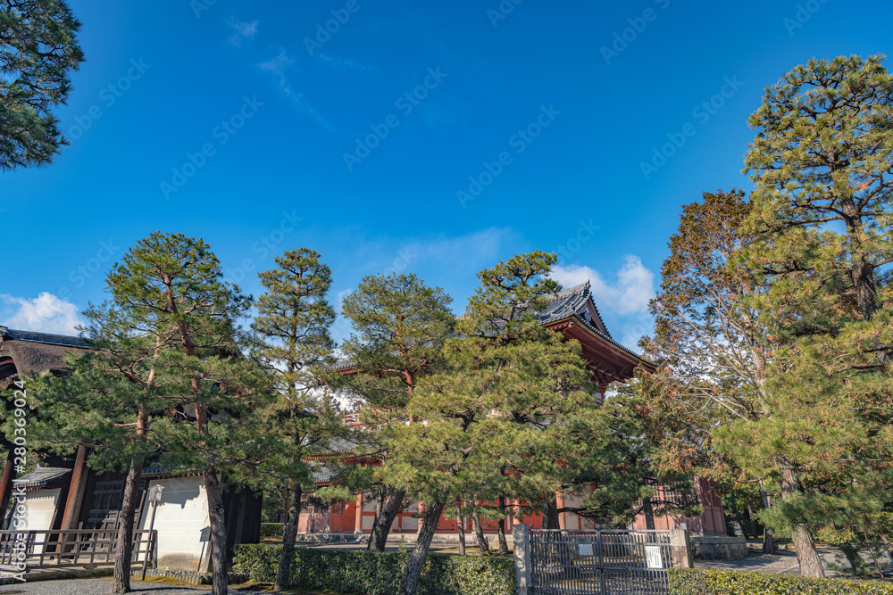 大徳寺 境内の風景