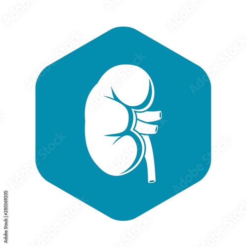 Kidney icon. Simple illustration of kidney vector icon for web
