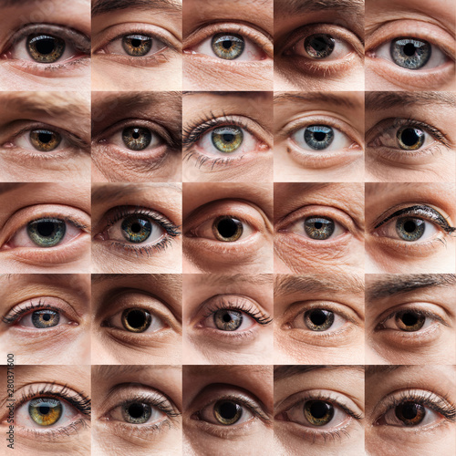 collage with human beautiful eyes of different colors