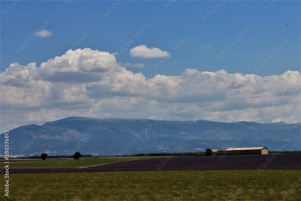 Fototapeta premium serie provence
