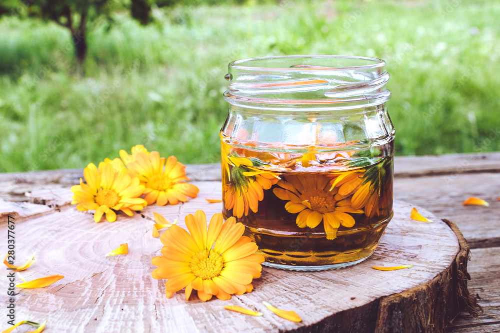 Tincture extract of calendula with fresh flowers in a glass can on a wooden background in nature. Extract of tincture of calendula. Tincture extract of calendula with fresh flowers in a glass can on a wooden background in nature. Extract of tincture of calendula.