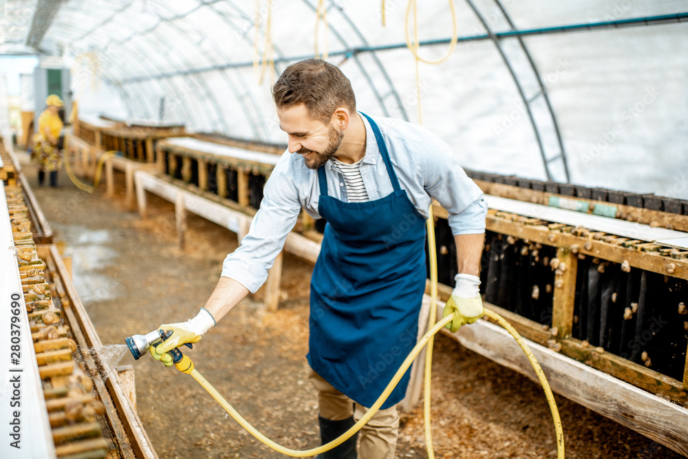 Handsome worker washing shelves with water gun, taking care of the snails in the hothouse of the farm. Concept of farming snails for eating Handsome worker washing shelves with water gun, taking care of the snails in the hothouse of the farm. Concept of farming snails for eating