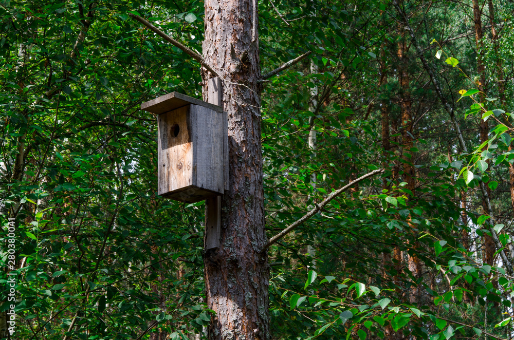 A wooden bird house on an old high pine tree