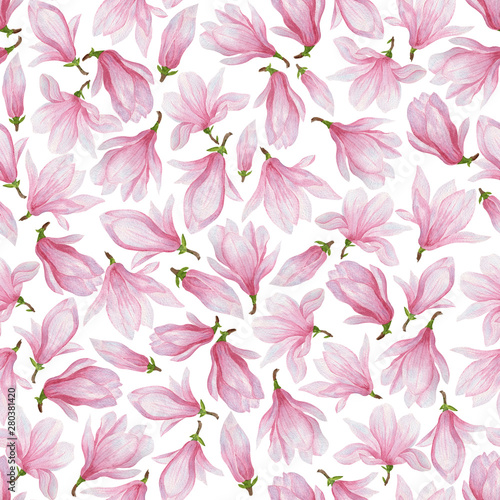  pattern of pink magnolias