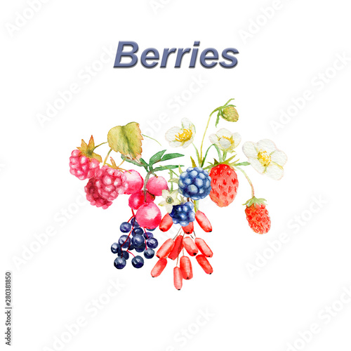 watercolor composition of wild berries: strawberry, blackberry, greenberry, rosehip, raspberry, barberry photo